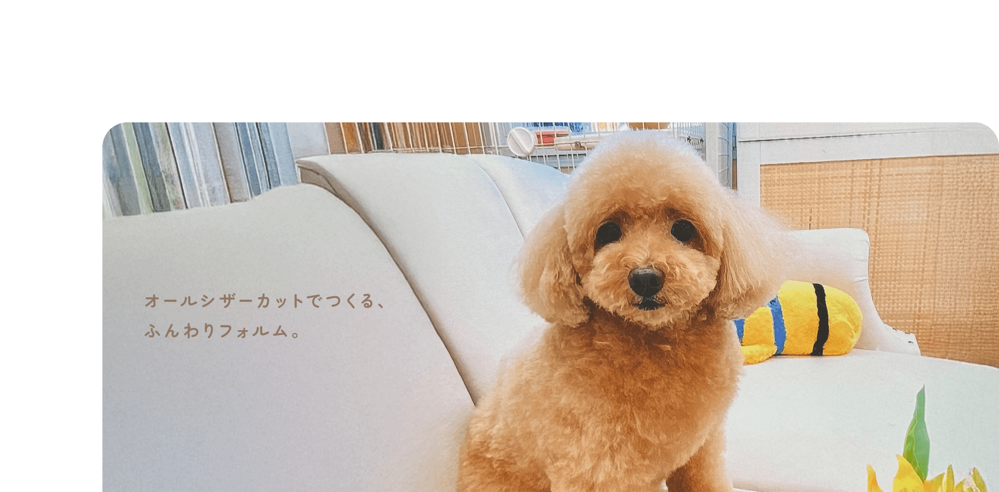 オールシザーカットでつくる、ふんわりフォルム。