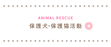 bnrhalf02_animal
