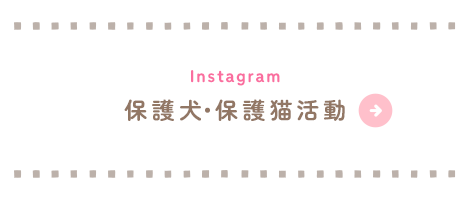 bnrhalf02_insta